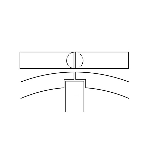 Fascia elastica  pistone...