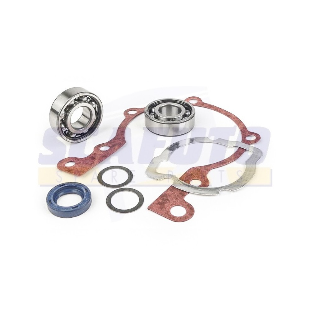 Kit Revisione Revisione Albero Motore PIAGGIO